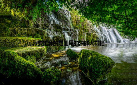 我要推荐的是汕尾的海鲜大排档