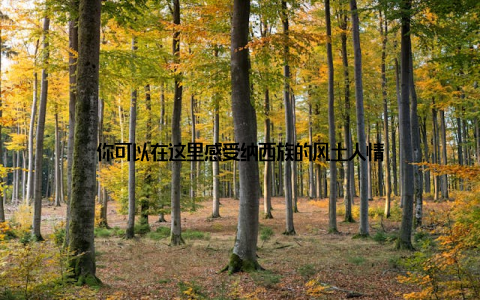 你可以在这里感受纳西族的风土人情