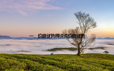 一、价格优势得说说价格优势