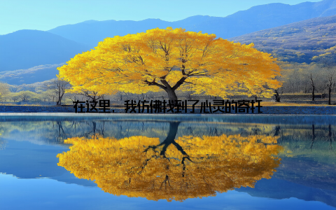 在这里, 我仿佛找到了心灵的寄托