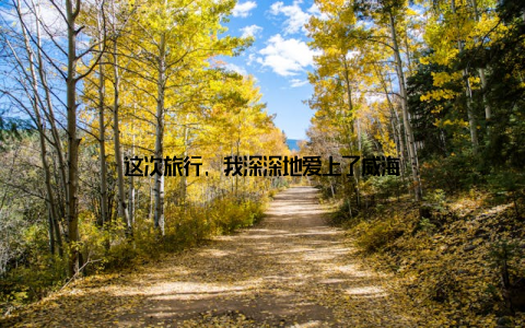 这次旅行, 我深深地爱上了威海