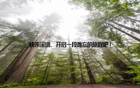 快来深圳, 开启一段难忘的旅程吧!