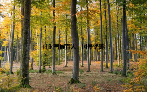 此时气候宜人, 风景优美