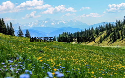 体验农家乐, 品尝绿色健康美食