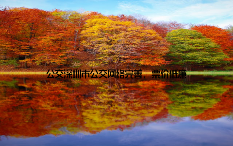 公交深圳市公交网络完善, 票价低廉